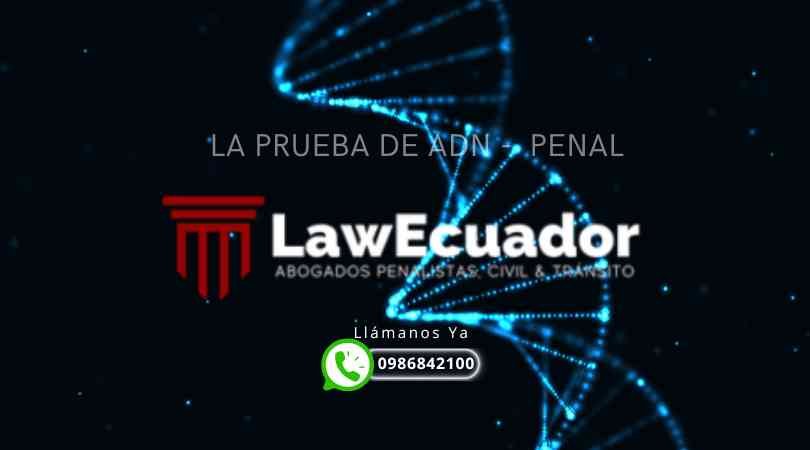 La Prueba de ADN en resolución de Conflictos