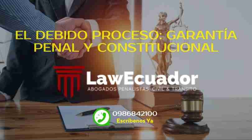 El Debido Proceso. Garantia Penal y Constitucional.